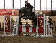 Edwina FZ TosTour2013- S5 3213 : Arezzo, Arezzo Equestrian Centre, Cavalli d'Italia, Edwina FZ, Toscana Tour 2013, foto di Stefano Secchi ©
